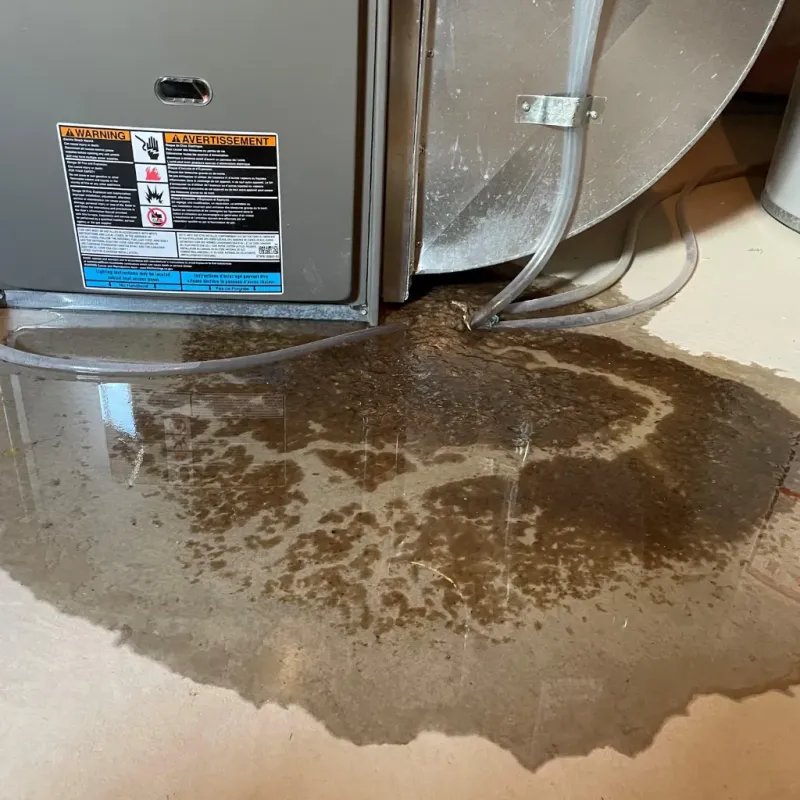 Appliance Leak Cleanup in Rossville, IN